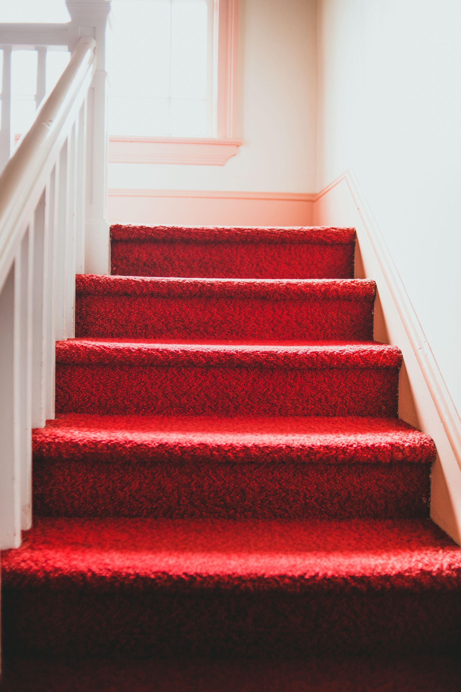 A vibrant red carpet decorates a staircase bathed in natural light, offering a cozy interior design accent.